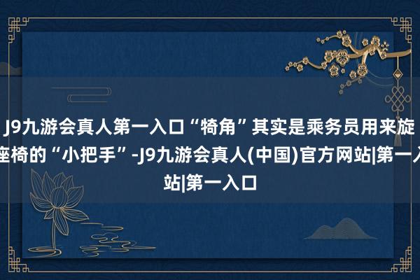 J9九游会真人第一入口“犄角”其实是乘务员用来旋转座椅的“小把手”-J9九游会真人(中国)官方网站|第一入口