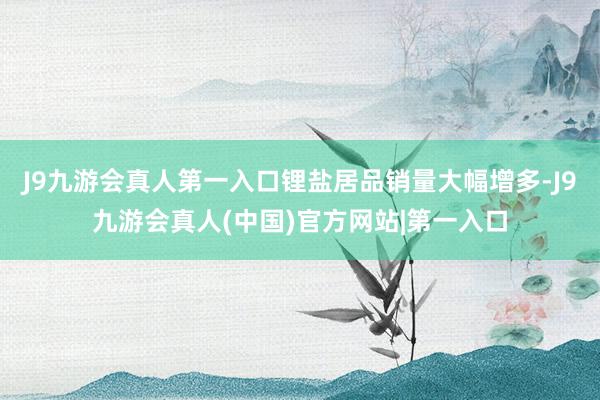J9九游会真人第一入口锂盐居品销量大幅增多-J9九游会真人(中国)官方网站|第一入口