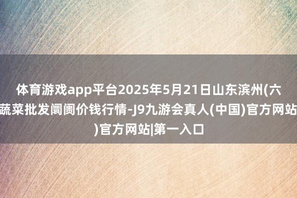 体育游戏app平台2025年5月21日山东滨州(六街)鲁北蔬菜批发阛阓价钱行情-J9九游会真人(中国)官方网站|第一入口