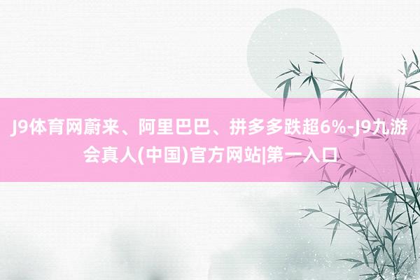 J9体育网蔚来、阿里巴巴、拼多多跌超6%-J9九游会真人(中国)官方网站|第一入口