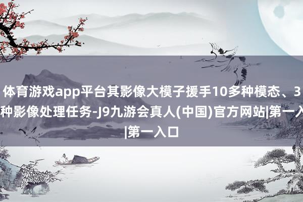 体育游戏app平台其影像大模子援手10多种模态、300种影像处理任务-J9九游会真人(中国)官方网站|第一入口